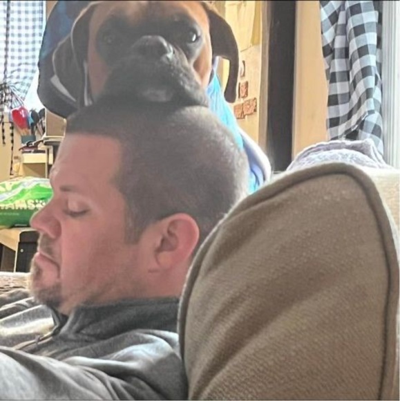 Meet your Posher, Daniel - Picture 1 of 1